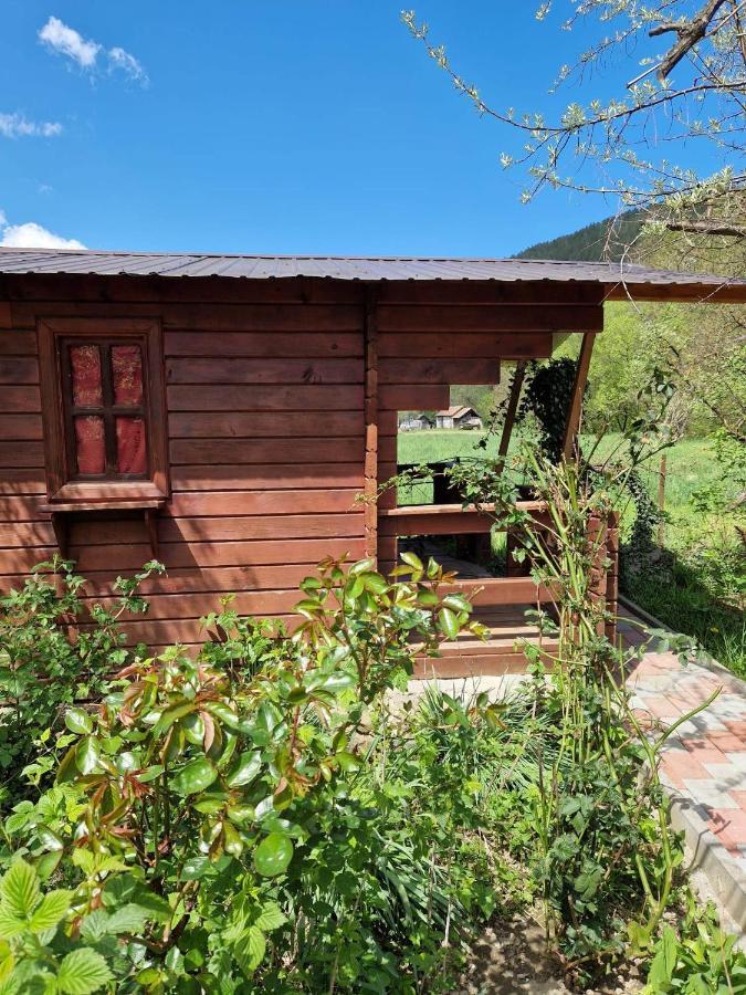 ホテル Casa Jan B. Lorau エクステリア 写真