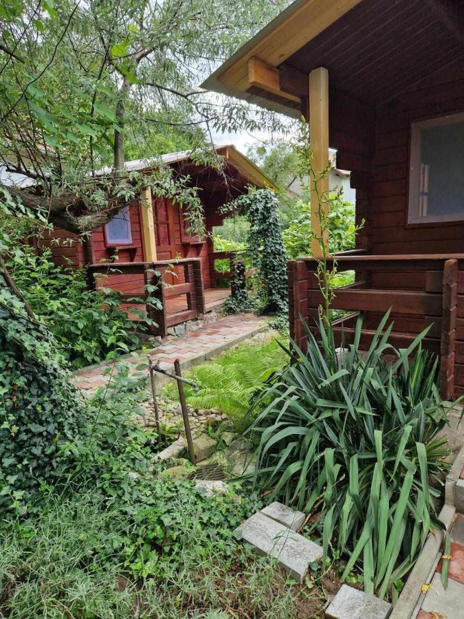 ホテル Casa Jan B. Lorau エクステリア 写真