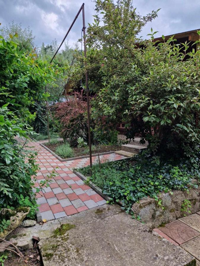 ホテル Casa Jan B. Lorau エクステリア 写真